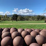De Un Artista En Plena Naturaleza Piscina Y Parque De Esculturas En Σπίτι διακοπών Villarcayo