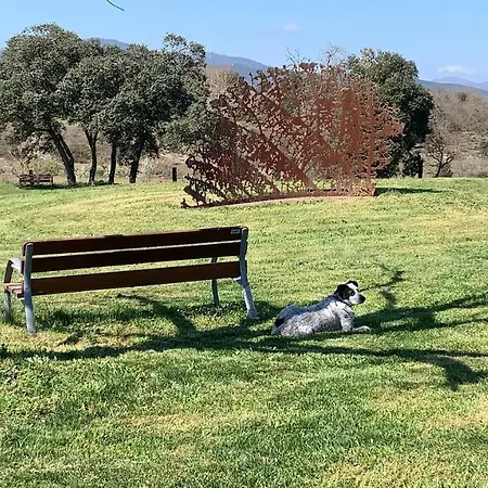 De Un Artista En Plena Naturaleza Piscina Y Parque De Esculturas En