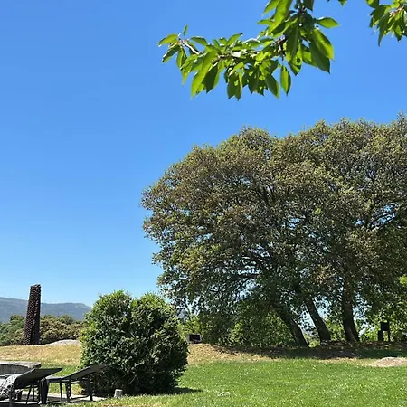 De Un Artista En Plena Naturaleza Piscina Y Parque De Esculturas En