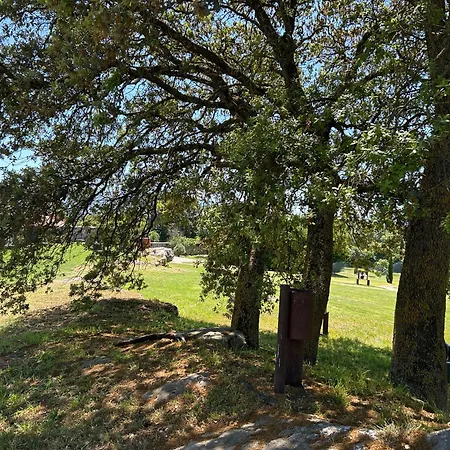 De Un Artista En Plena Naturaleza Piscina Y Parque De Esculturas En *