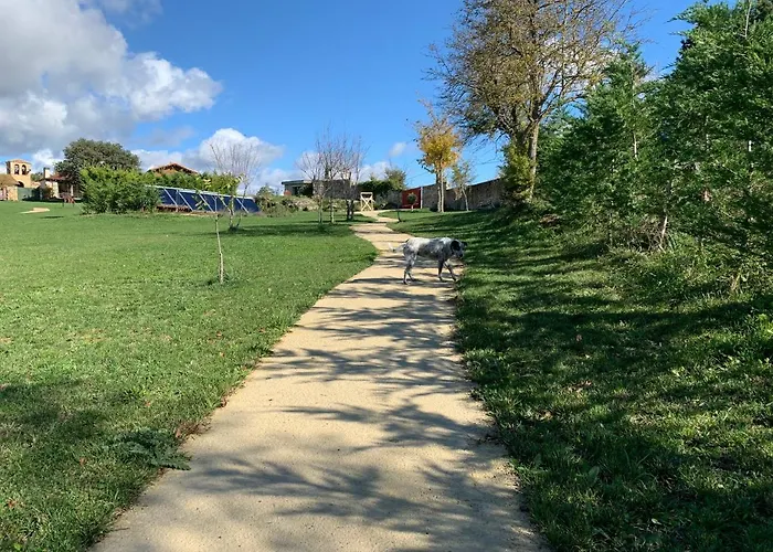 De Un Artista En Plena Naturaleza Piscina Y Parque De Esculturas En