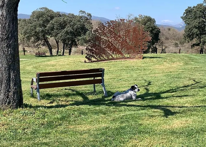 De Un Artista En Plena Naturaleza Piscina Y Parque De Esculturas En