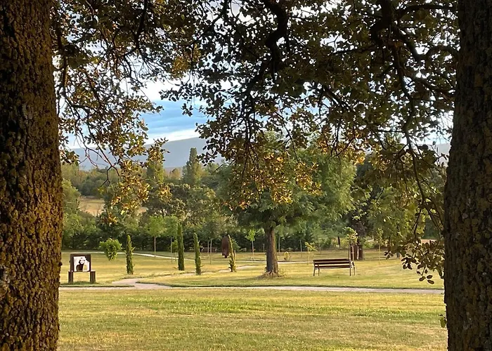 De Un Artista En Plena Naturaleza Piscina Y Parque De Esculturas En